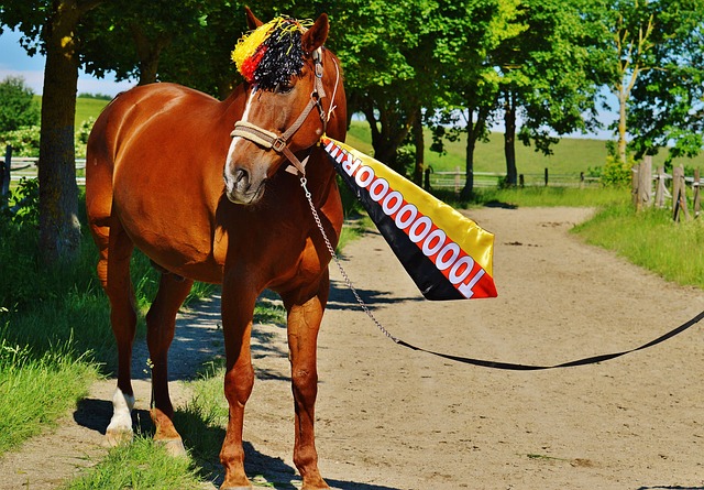 leisu:熊本羽毛球大师赛:安赛龙将在决赛中 对垒石宇奇